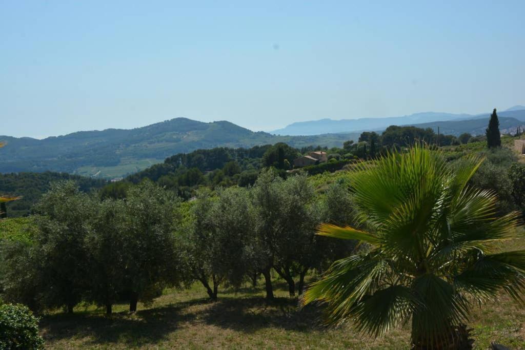 La Venturonne Appartement Neuf Rez De Jardin 45 M2 Vue Mer Et Vignes 10 Mn Des Plages เลอโบสเซต์ ภายนอก รูปภาพ