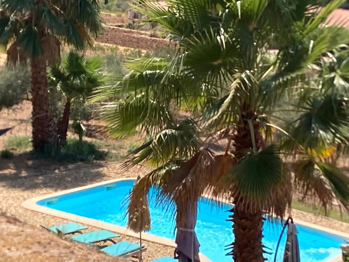 La Venturonne Appartement Neuf Rez De Jardin 45 M2 Vue Mer Et Vignes 10 Mn Des Plages เลอโบสเซต์ ภายนอก รูปภาพ